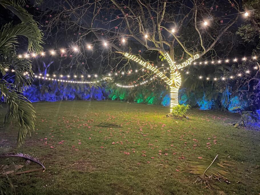 Вилла Rare Hidden Getaway Heated Pool 1.5 Acres! Sleeps 16 Форт-Лодердейл Экстерьер фото
